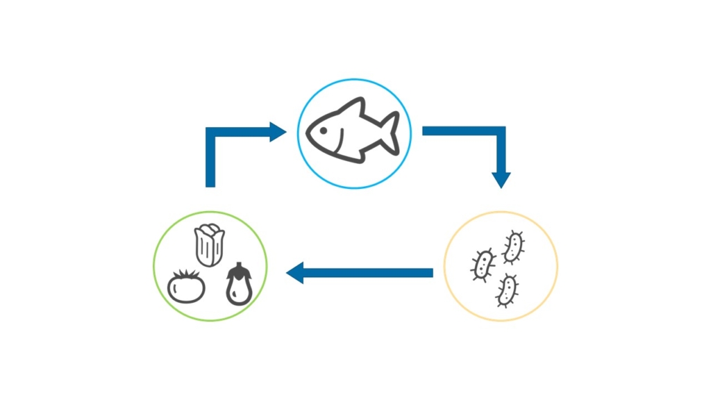 アクアポニックスの仕組み